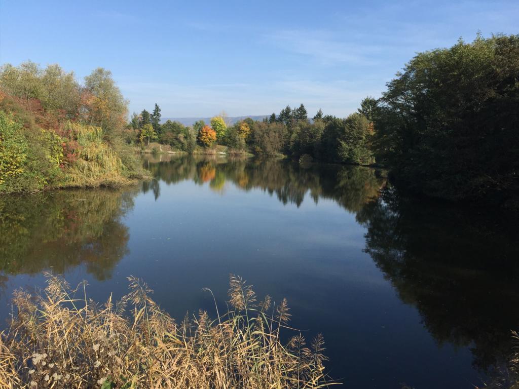 Lichtenau 2* Nußloch